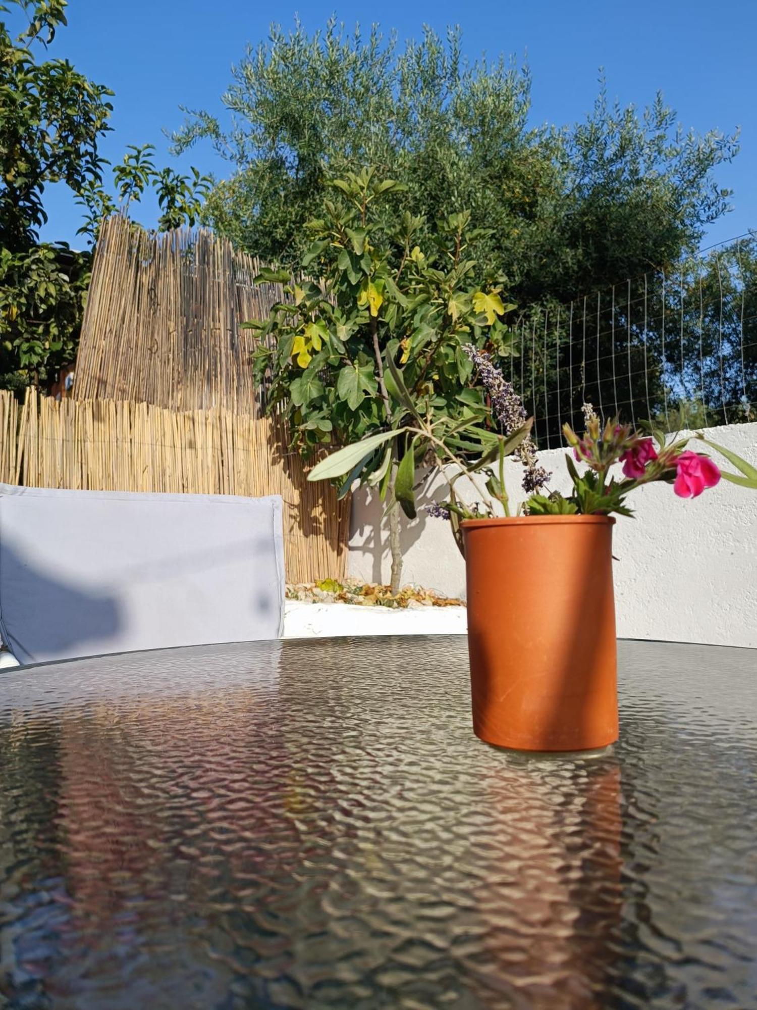 Natural Hostel Himare Bagian luar foto